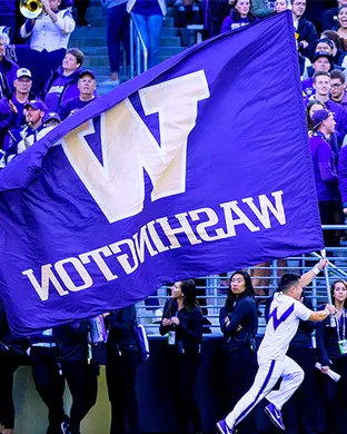 Washington Huskies