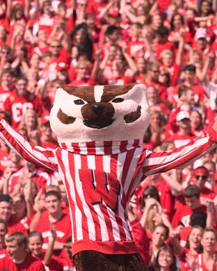 Wisconsin Badgers